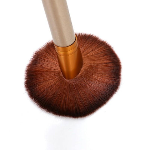 Powder Blusher Professional Cosmetics